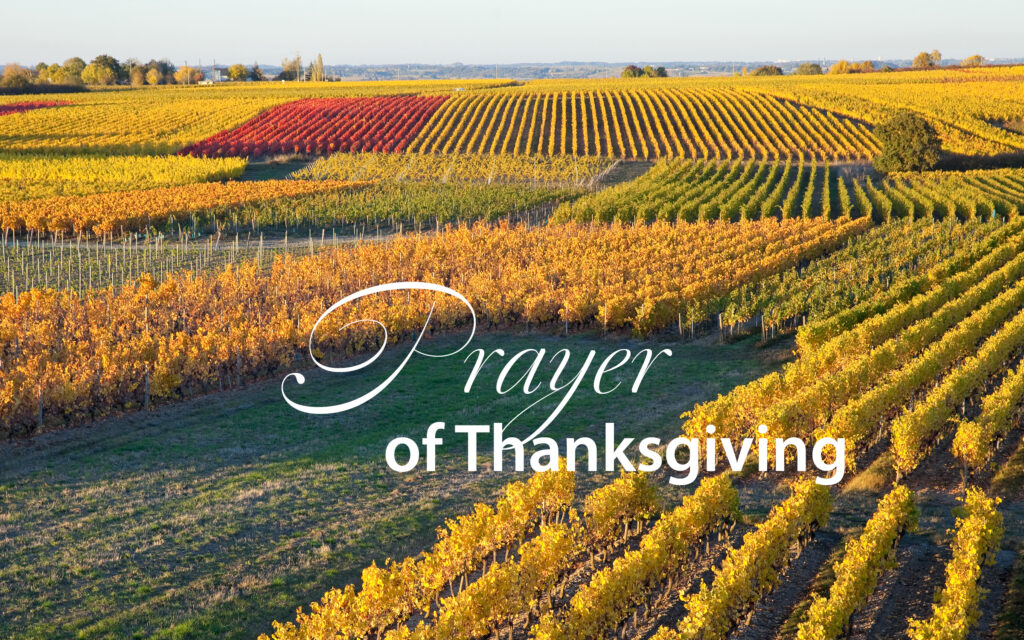 Prayer of Thanksgiving - Sisters of Charity of the Blessed Virgin Mary